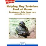 Helping Tiny Tortoises Feel at Home, Jacqueline Adams