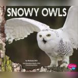 Snowy Owls, Melissa Hill