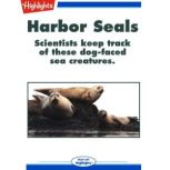 Harbor Seals, Bob Michelson