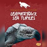 Leatherback Sea Turtles, Jody Rake