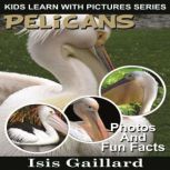 Pelicans Photos and Fun Facts for Kids, Isis Gaillard