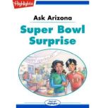 Super Bowl Surprise Ask Arizona, Lissa Rovetch