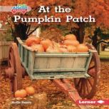 At the Pumpkin Patch, Katie Peters