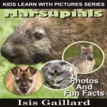 Marsupials Photos and Fun Facts for Kids, Isis Gaillard