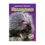 Porcupines, Emily Green