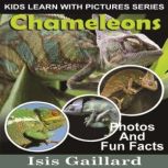 Chameleons Photos and Fun Facts for Kids, Isis Gaillard