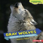 Gray Wolves Howling Pack Mammals, Rebecca E. Hirsch