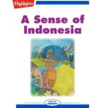 A Sense of Indonesia