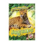 Jaguars, Rachel Grack