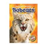 Bobcats, Megan Borgert-Spaniol