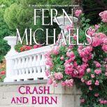 Crash and Burn, Fern Michaels