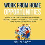 Work From Home Opportunities: The Ultimate Guide To Work-At-Home Success, Discover Different Job and Work Opportunities That Can Let You Earn Money From Home, Nello Davey