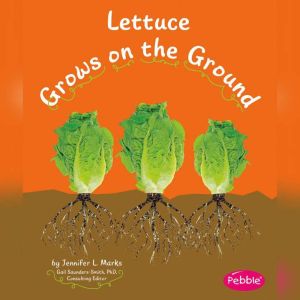 Lettuce Grows on the Ground, Mari Schuh
