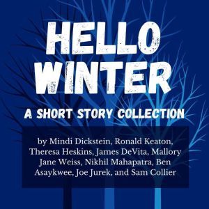 Hello Winter: A Short Story Collection, Mindi Dickstein