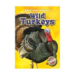 Wild Turkeys, Kristin Schuetz