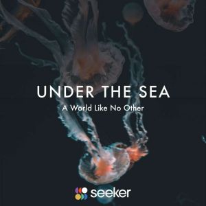 Under the Sea: A World Like No Other, Seeker