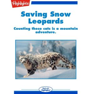 Saving Snow Leopards, Andy Boyles