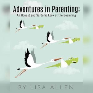 Adventures in Parenting:: An Honest and Sardonic Look at the Beginning, Lisa Allen