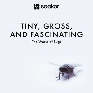 Tiny, Gross, and Fascinating: The World of Bugs, Seeker