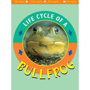 Life Cycle of a Bullfrog: Life Science - Life Cycles, Jason Cooper