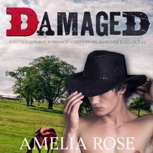 Damaged: Western Cowboy Romance - Darrell's story, Amelia Rose