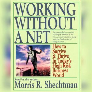 Working Without A Net: How to Survive and Thrive in Today's High Risk Business World, Morris R. Schechtman