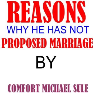 Reasons Why He Has Not Proposed Marriage, Comfort Michael Sule