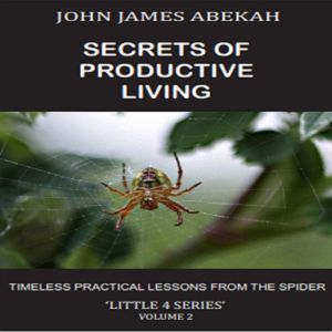 SECRETS OF PRODUCTIVE LIVING VOL. 2: (TIMELESS PRACTICAL LESSONS FROM THE SPIDER), JOHN JAMES ABEKAH