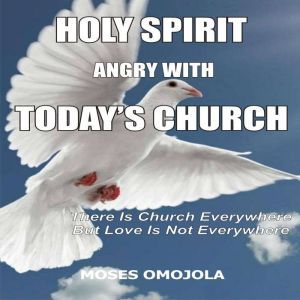 Holy Spirit Angry With Today's Churches:  There is Church Everywhere but Love Is Not Everywhere, Moses Omojola