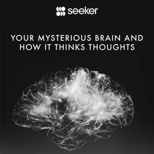 Your Mysterious Brain and How It Thinks Thoughts, Seeker