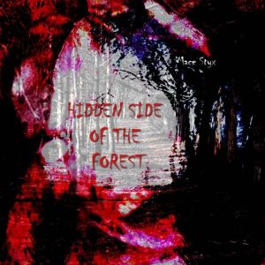 Hidden Side of the Forest, Mace Styx