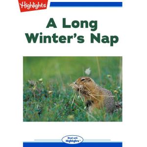 A Long Winter's Nap, Karen G. Ballen