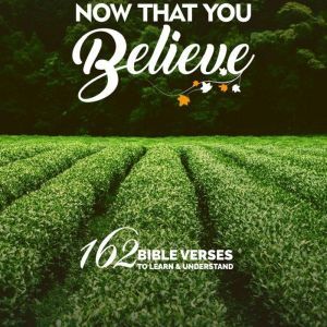 Now That You Believe: 162 Bible Verses To Learn & Understand, B. Akintokun