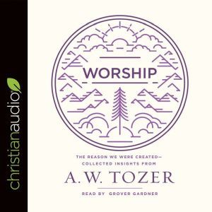 Worship: The Reason We Were Created-Collected Insights from A. W. Tozer, A. W. Tozer