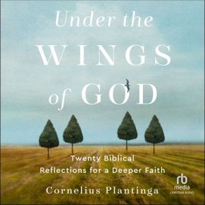 Under the Wings of God: Twenty Biblical Reflections for a Deeper Faith, Cornelius Plantinga