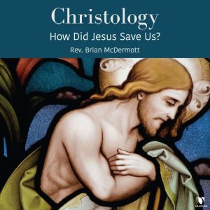 Christology: How Did Jesus Save Us?: An Introduction to Christology, Brian McDermott