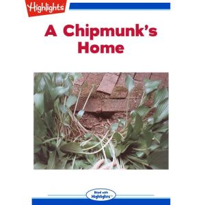 A Chipmunk's Home, Janice Marie Scully