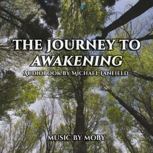 The Journey to Awakening, Michael Lanfield