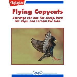 Flying Copycats, Patricia M. Newman