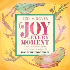 Joy in Every Moment: Mindful Exercises for Waking Up to the Wonders of Ordinary Life, Tzivia Gover