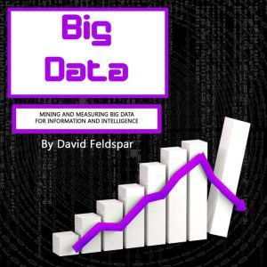 Big Data: Mining and Measuring Big Data for Information and Intelligence, David Feldspar