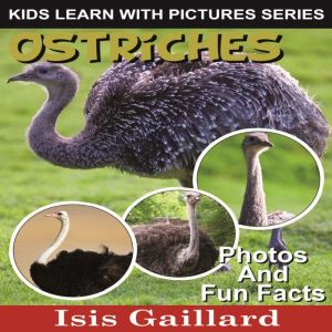 Ostriches: Photos and Fun Facts for Kids, Isis Gaillard