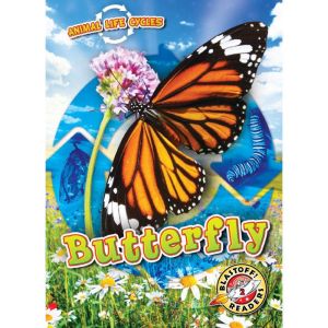 Animal Life Cycles: Butterfly, Rebecca Sabelko