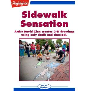 Sidewalk Sensation: Artist David Zin creates 3-D drawings using only chalk and charcoal., Melissa Cunningham