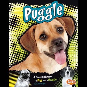 Puggle: A Cross Between a Pug and a Beagle, Molly Kolpin