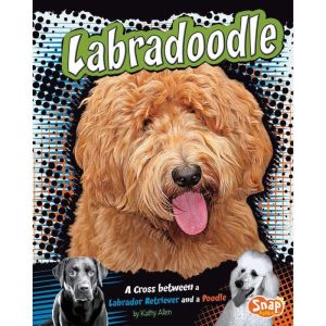 Labradoodle: A Cross Between a Labrador Retriever and a Poodle, Kathy Allen