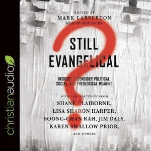 Still Evangelical?: Insiders Reconsider Political, Social, and Theological Meaning, Bob Souer