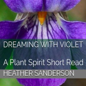 Dreaming with Violet: A Plant Spirit Short Read, Heather Sanderson