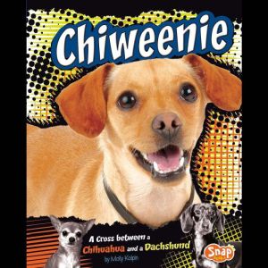 Chiweenie: A Cross Between a Chihuahua and a Dachshund, Molly Kolpin