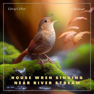 House Wren Singing Near River Stream: Atmospheric Audio for Enlightenment, Greg Cetus